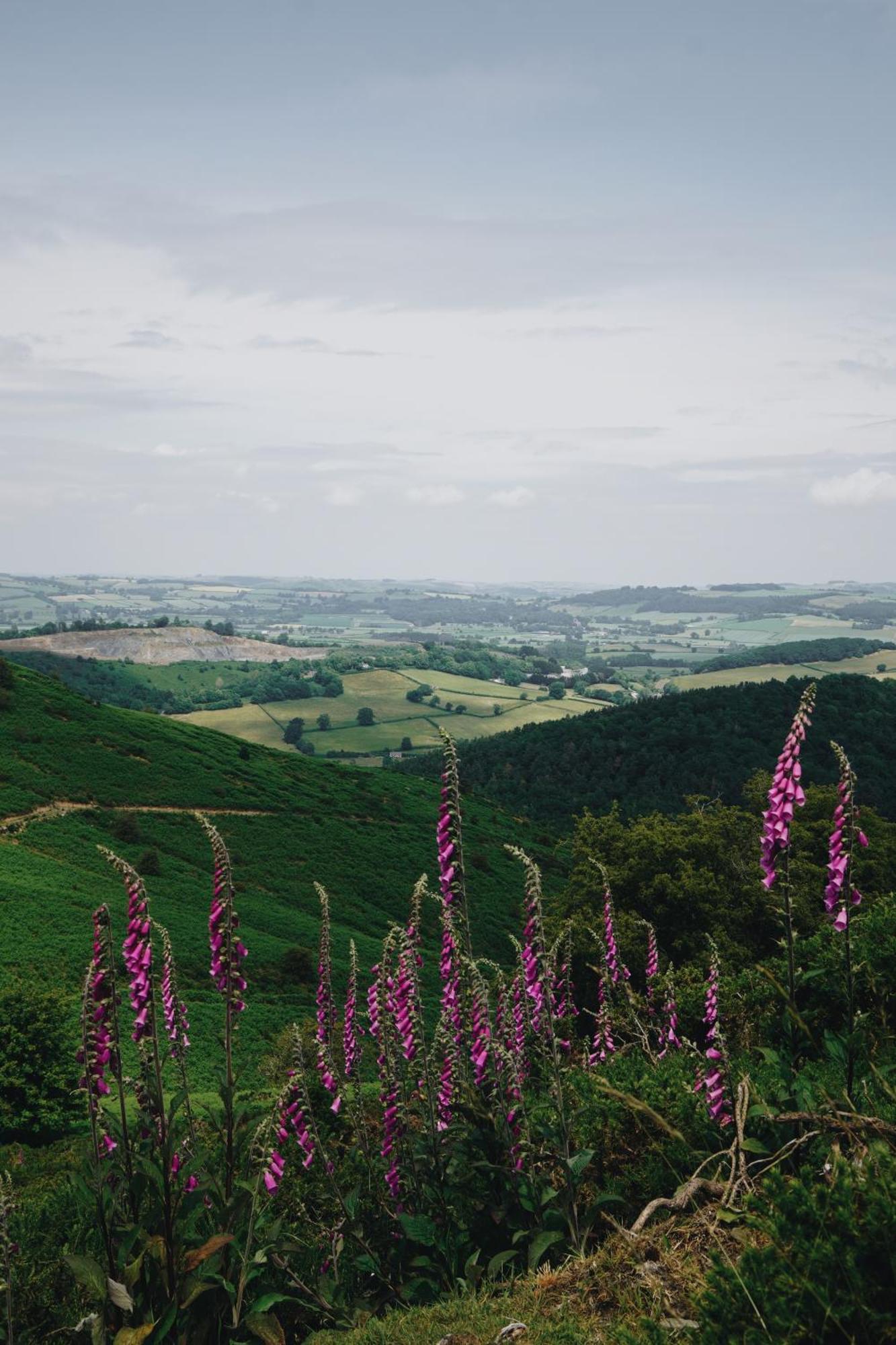 Two Unique Cabins Wrapped In Beautiful Welsh Scenery Presteigne 외부 사진