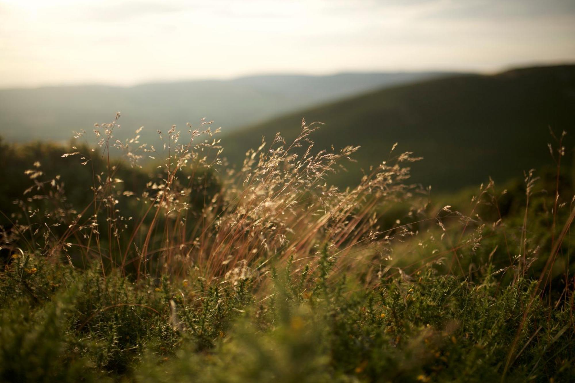 Two Unique Cabins Wrapped In Beautiful Welsh Scenery Presteigne 외부 사진