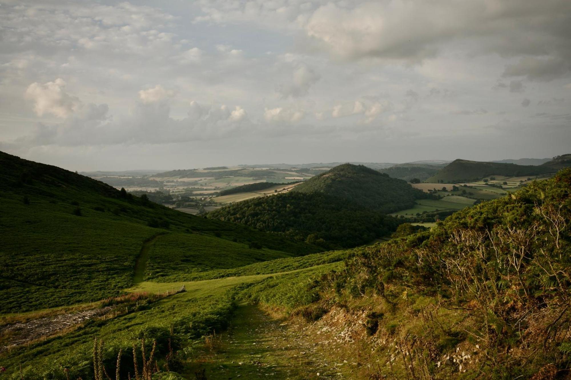 Two Unique Cabins Wrapped In Beautiful Welsh Scenery Presteigne 외부 사진